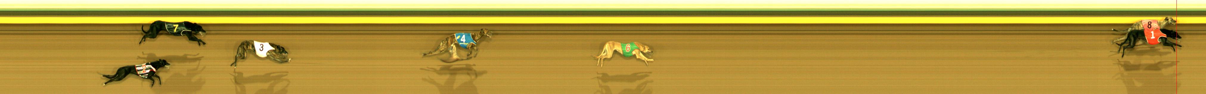 Race result finish photo